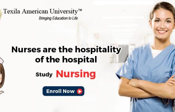 Bachelor’s Degree in Nursing