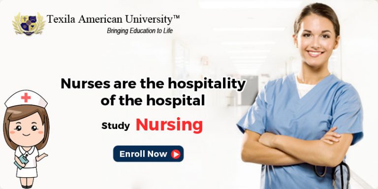 Bachelor’s Degree in Nursing