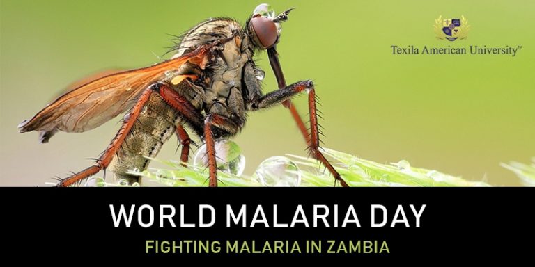 Texila talk series world malaria day