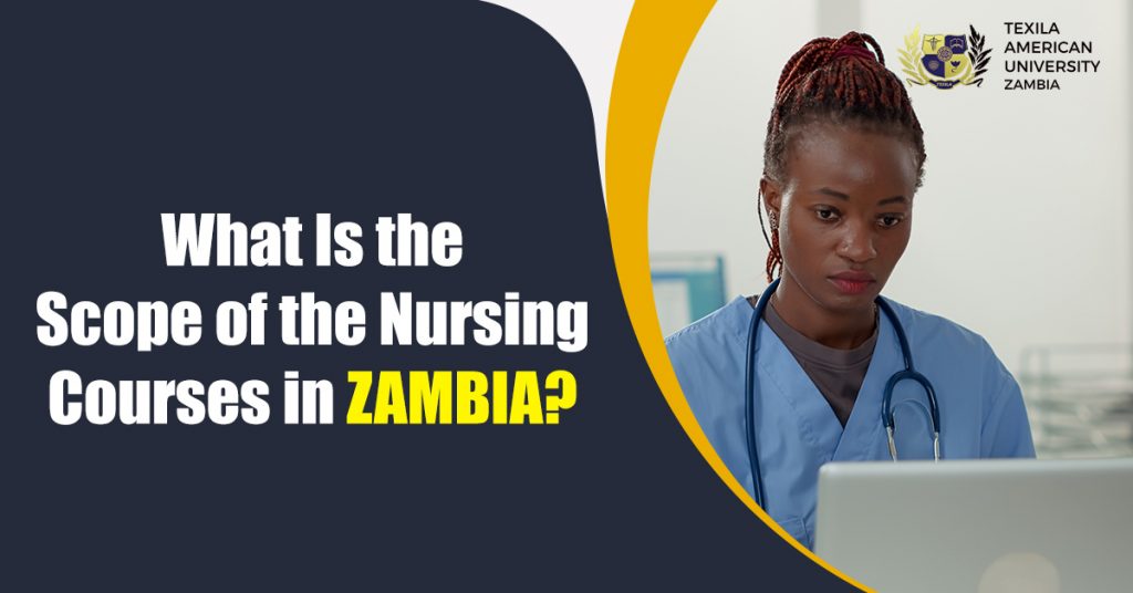 What Is the Scope of the Nursing Courses in Zambia
