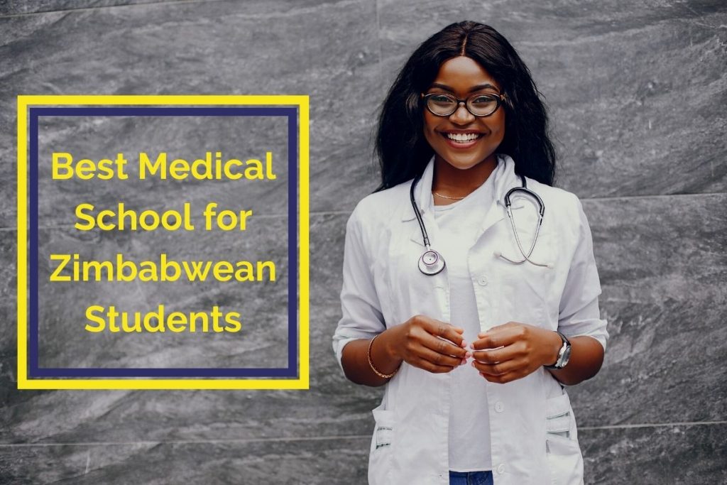 job for medical students zimbabwe