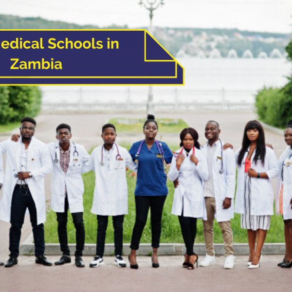 Medical Schools in Zambia
