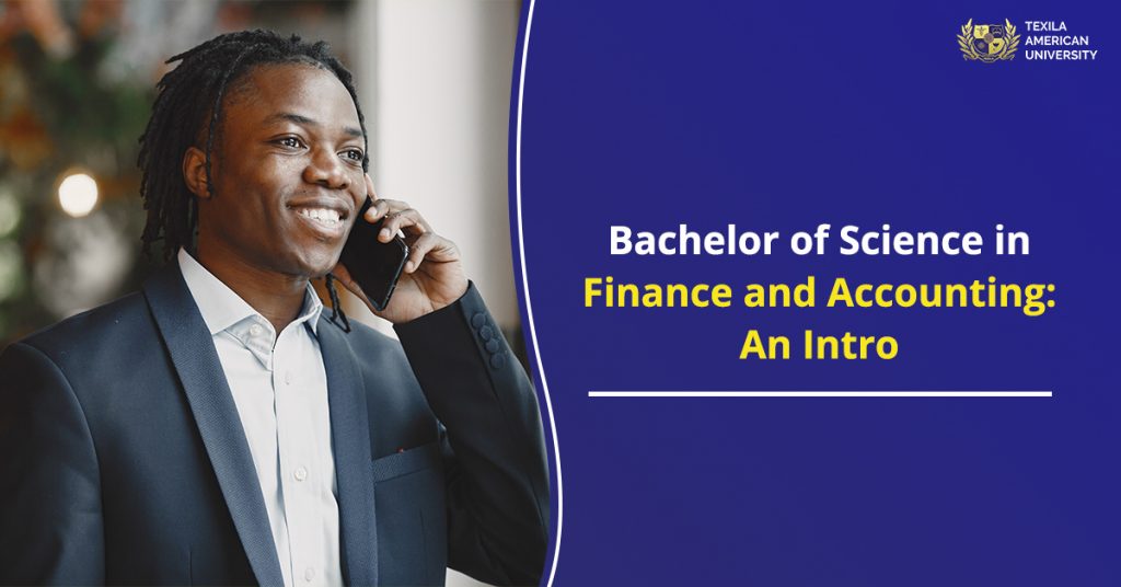 Bachelor of Science in Finance and Accounting