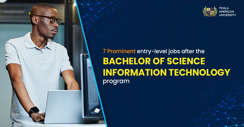 7 Prominent entry-level jobs after the bachelor of science information technology program
