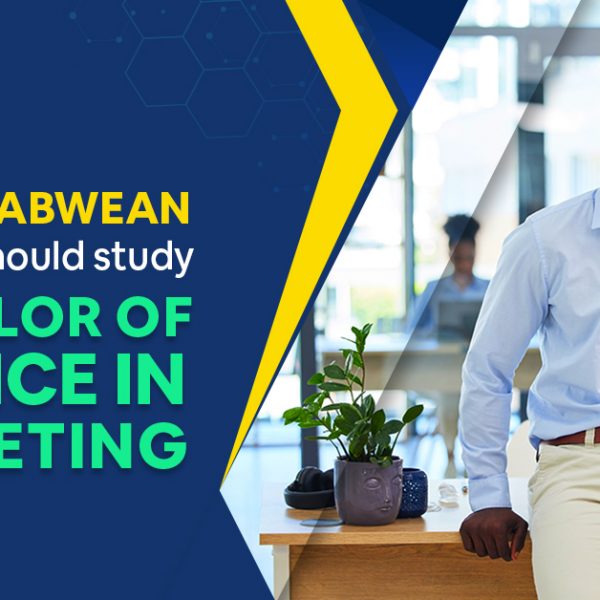 Why Zimbabwean students should study bachelor of science in marketing