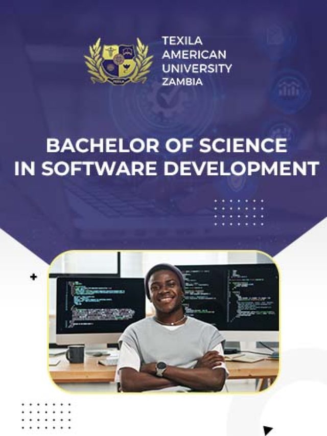 Bachelor of Science in Software Development